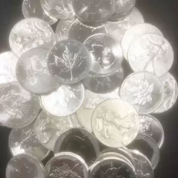 Random 1oz Silver coins