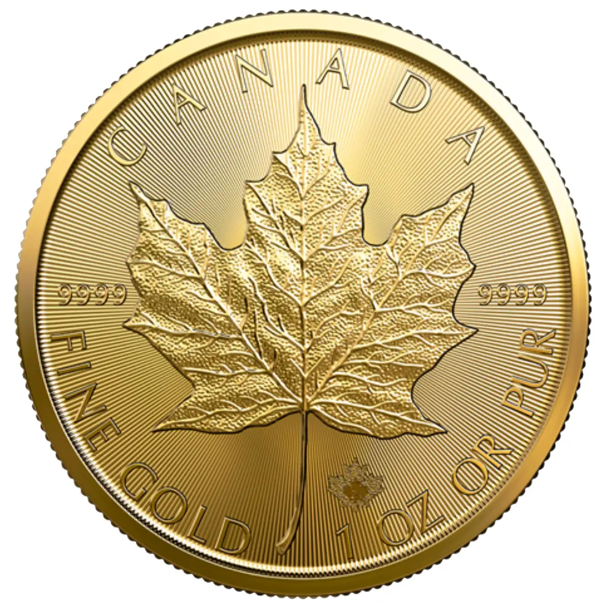 1oz Canadian Gold Maple Leaf Coin